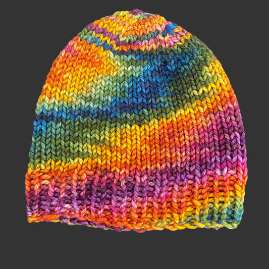 Fall Madness knit into a hat on the Honey Bulky base